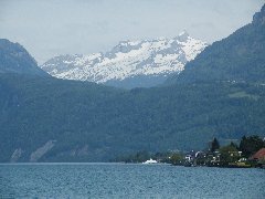 Swiss in Spring